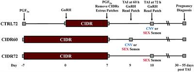 Effects of Pre-Synchronization With Prostaglandin F2α and a Progestin, and Delayed Insemination on Pregnancy Rates With Sexed Semen in Replacement Beef Heifers